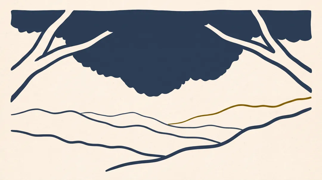 Illustrated silhouette of a monumental hardwood canopy seen from beneath, arching over layered Tennessee Valley foothill ridgelines, flat ink line art